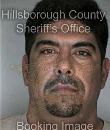 Paul Character - Hillsborough County, FL 