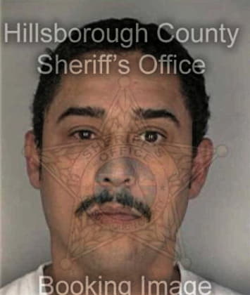 Hilario Cruz, - Hillsborough County, FL 