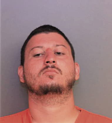 Joseph Ireland, - Polk County, FL 