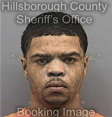 Ray Johnson, - Hillsborough County, FL 