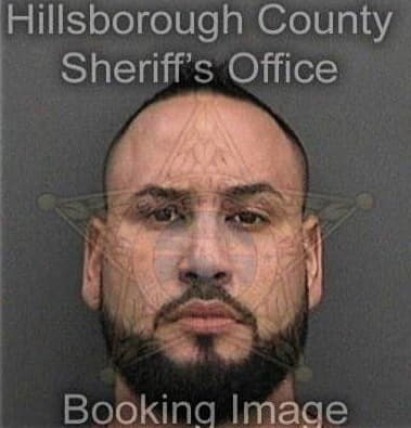 Michael Profozich, - Hillsborough County, FL 