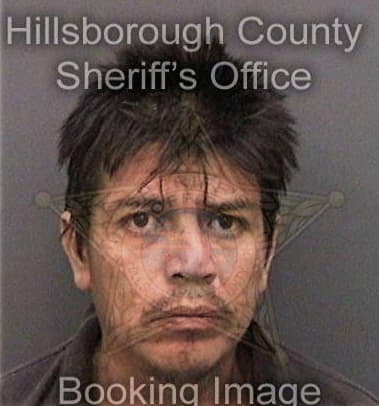 Reinaldo Chavezrojas - Hillsborough County, FL 
