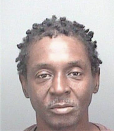 Laquantay Hollis, - Pinellas County, FL 