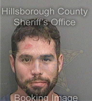 Brad Lewis, - Hillsborough County, FL 