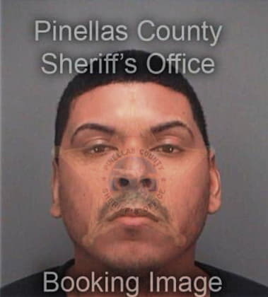 Emmanual Mendozaperez, - Pinellas County, FL 