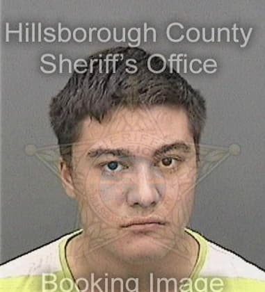 Nelson Valdes, - Hillsborough County, FL 