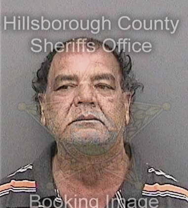 Carlos Alarcongarcia, - Hillsborough County, FL 