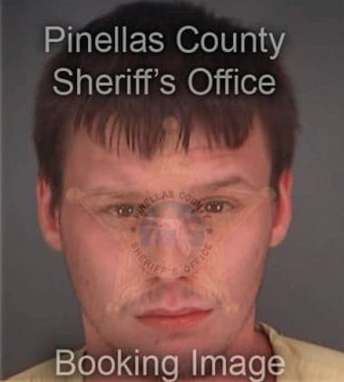 Michael Bowers - Pinellas County, FL 