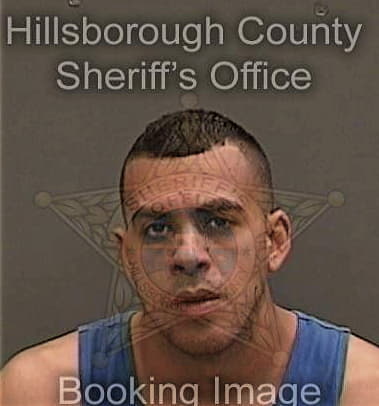 Ryan Guymond, - Hillsborough County, FL 