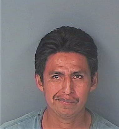 Luis Linarte, - Hernando County, FL 