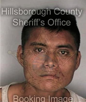 Joseph Mickler - Hillsborough County, FL 