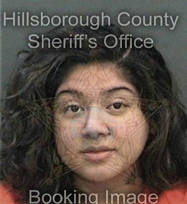 Karen Mitchell - Hillsborough County, FL 