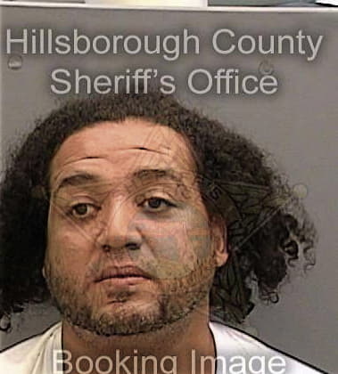 Alfredo Alonso-Aguero, - Hillsborough County, FL 