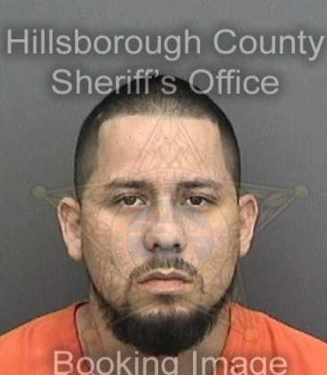 Anthony Davis, - Hillsborough County, FL 