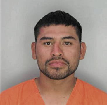 Ricardo Deleon, - Hillsborough County, FL 