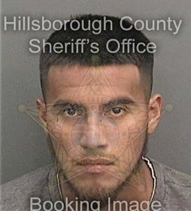 Yorge Guzmanalvarez, - Hillsborough County, FL 