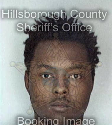 Ronald McClendon - Hillsborough County, FL 