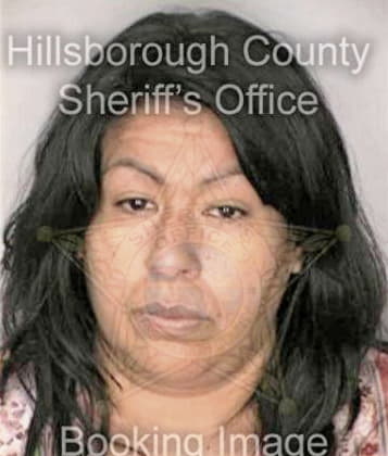 Lorraine Miller - Hillsborough County, FL 