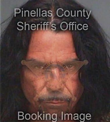 Luis Ocasiovelazquez, - Pinellas County, FL 