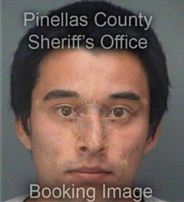 Nelson Aguilar, - Pinellas County, FL 