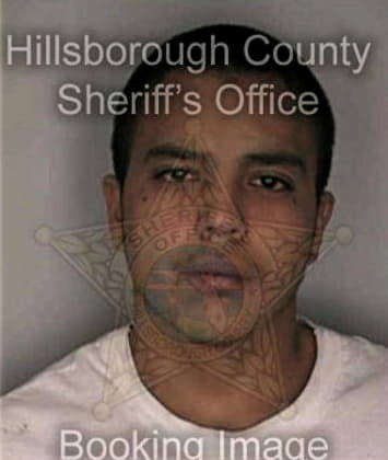 David Brady - Hillsborough County, FL 