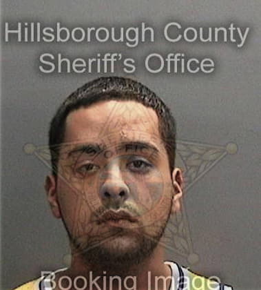 Cleto Dominguezreyes, - Hillsborough County, FL 