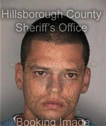 Ramos Gonzalez - Hillsborough County, FL 