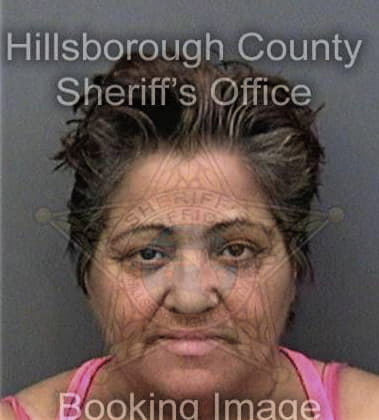 Shannon Hood, - Hillsborough County, FL 