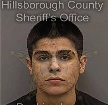 Brandon Lebron, - Hillsborough County, FL 