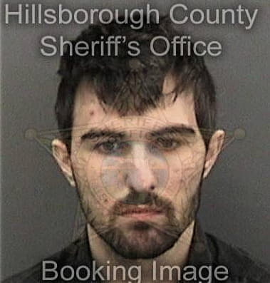 Henry McGall - Hillsborough County, FL 