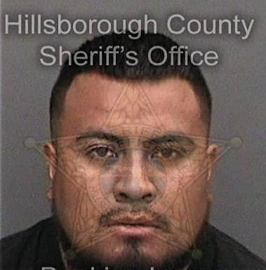 Christian Saenz, - Hillsborough County, FL 