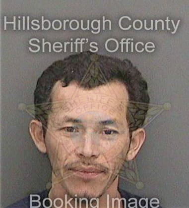 Mark Shiva, - Hillsborough County, FL 