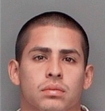 Sixto Aguilar, - Pinellas County, FL 