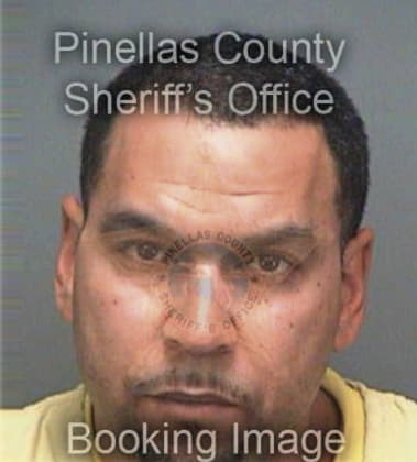 Maynor Ayalalara, - Pinellas County, FL 