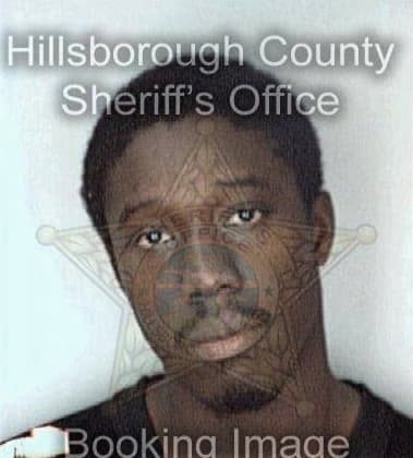 Reginald Bryant, - Hillsborough County, FL 