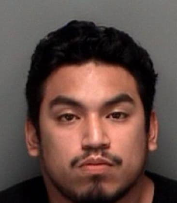 Paul Gonzalez, - Pinellas County, FL 