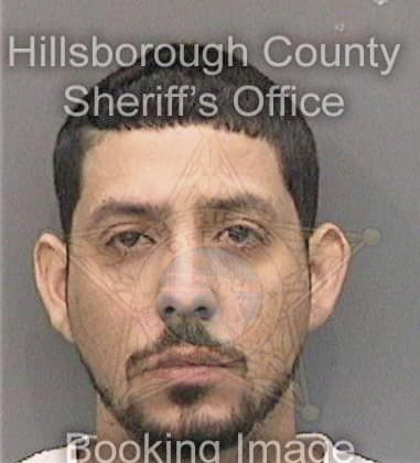 Christopher Mann, - Hillsborough County, FL 