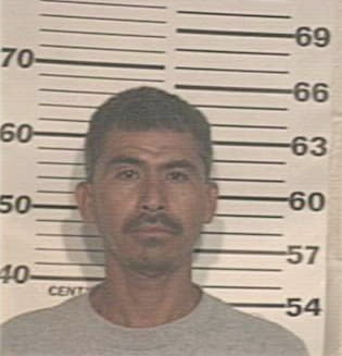 Tito-Hernandez Salinas, - Hidalgo County, TX 