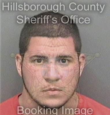 Carlos Armanirizarry, - Hillsborough County, FL 