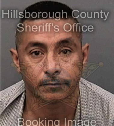 Paul Bayer, - Hillsborough County, FL 