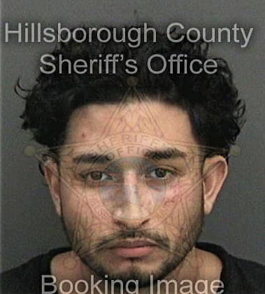 Armando Borgespupo - Hillsborough County, FL 