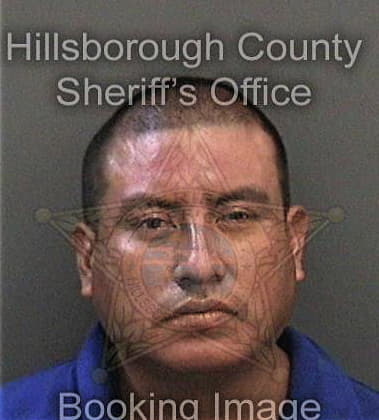 Elvin Carrascoaguilar, - Hillsborough County, FL 