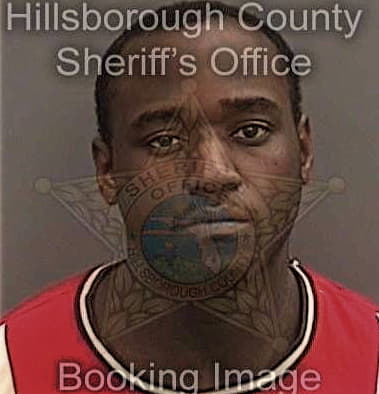 Aleer Deng, - Hillsborough County, FL 