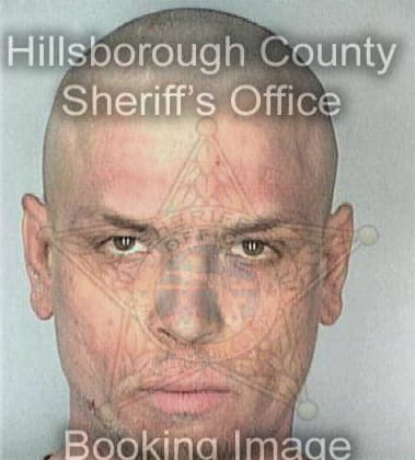 Brian Hall, - Hillsborough County, FL 