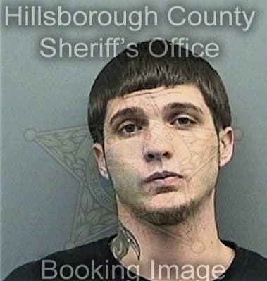 Christian Holban, - Hillsborough County, FL 