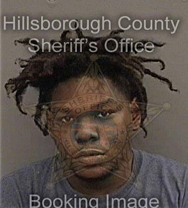 Ricardo Holmes, - Hillsborough County, FL 