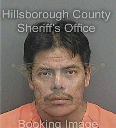 Andres Perez, - Hillsborough County, FL 