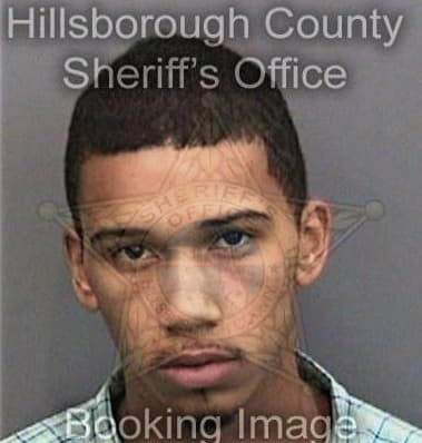 Michael Anderson, - Hillsborough County, FL 