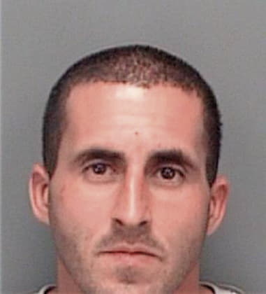 Michael Biancani, - Pinellas County, FL 