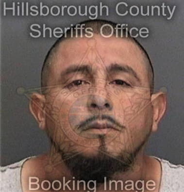 Ricardo Lazarinvalencia, - Hillsborough County, FL 